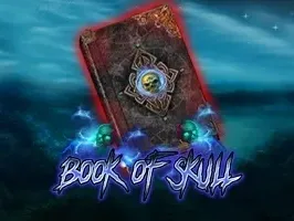 Book of Skull icon